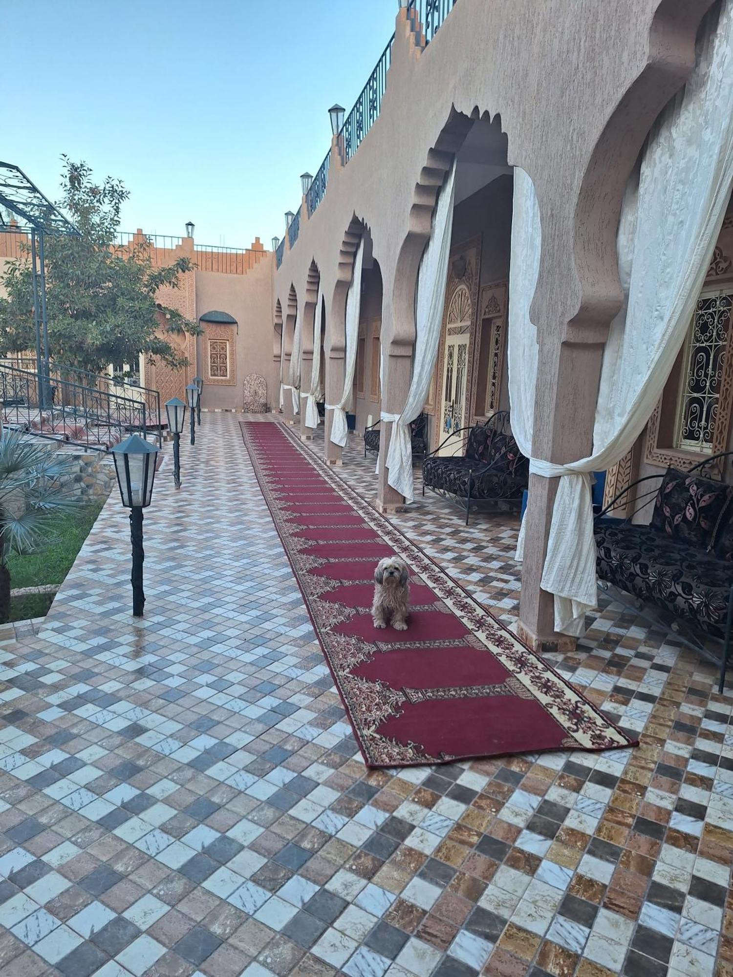 Eden Suite Marrakesch Exterior foto